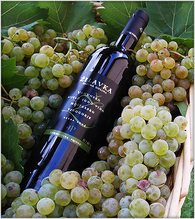 Hercegovina Produkt doo