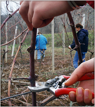 Hercegovina Produkt doo